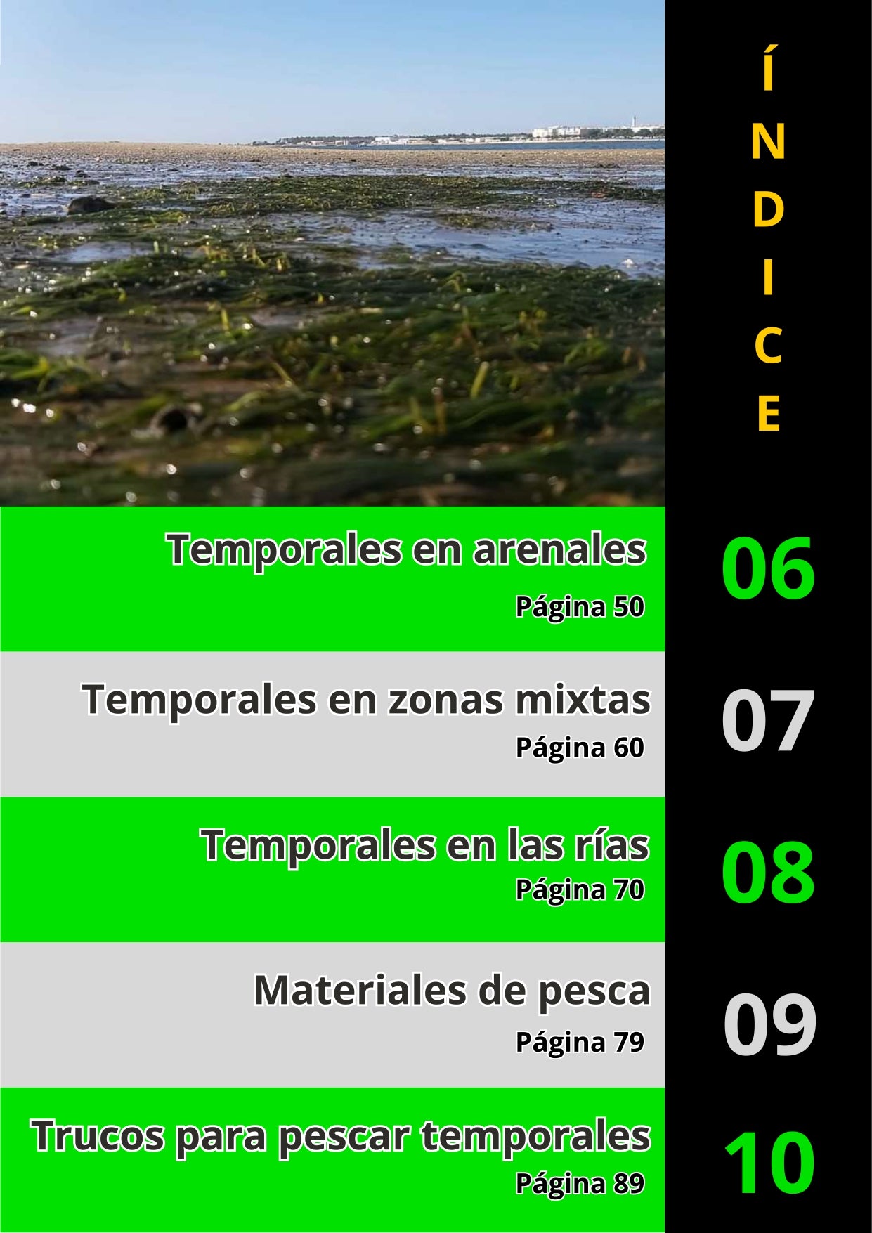Libro Físico de Pesca en Temporales