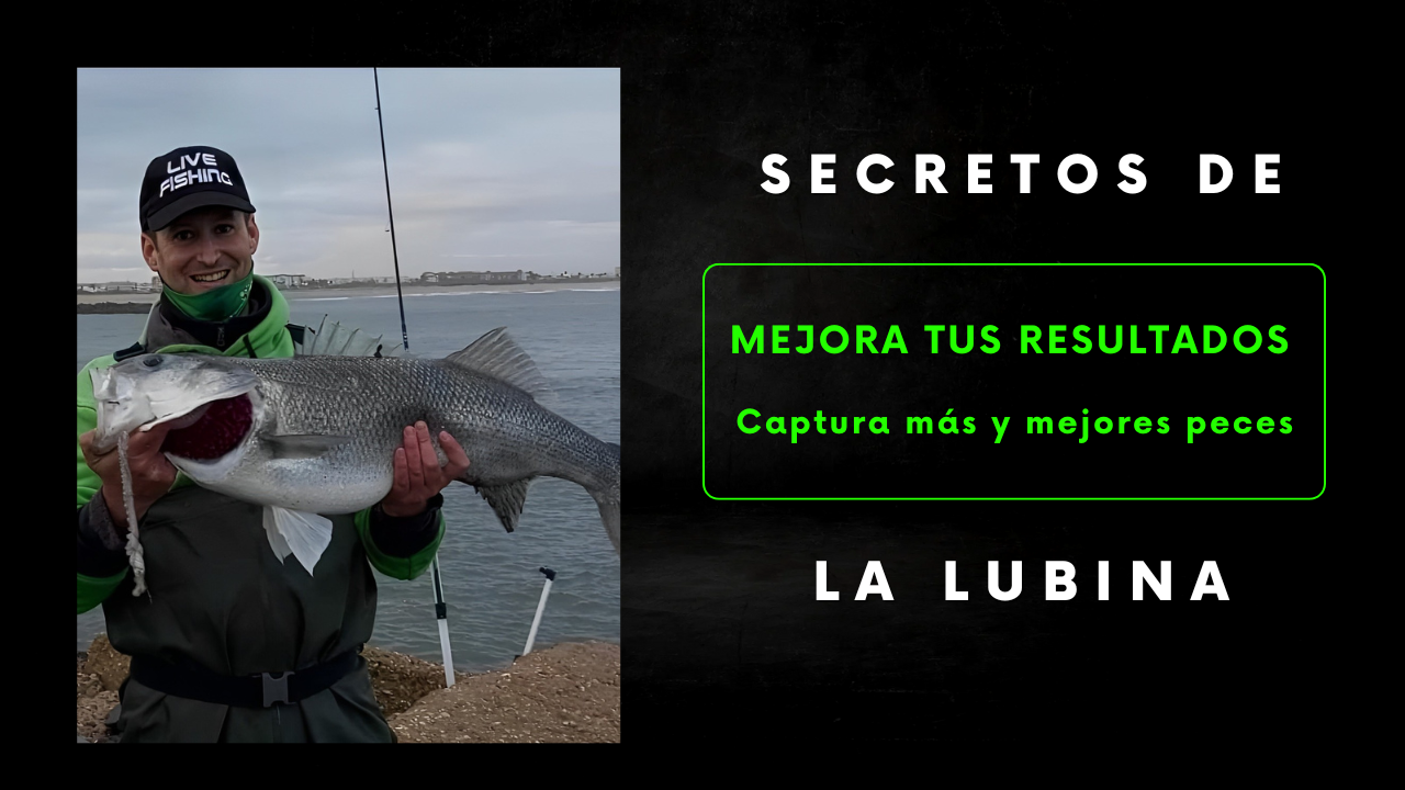 Libro Físico de Pesca de la Lubina