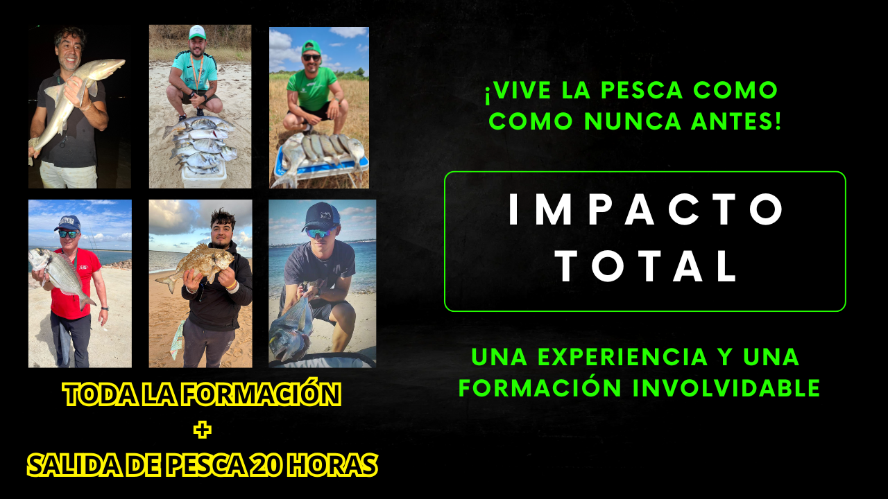 Impacto Total Surfcasting