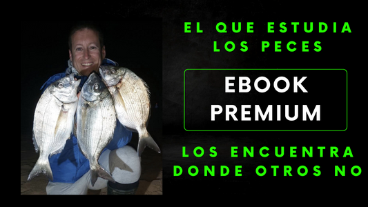 Ebook Premium