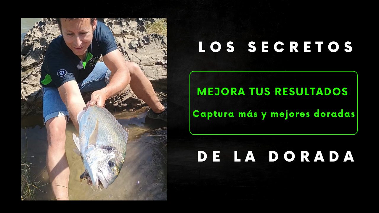 Libro Físico de Pesca de la Dorada