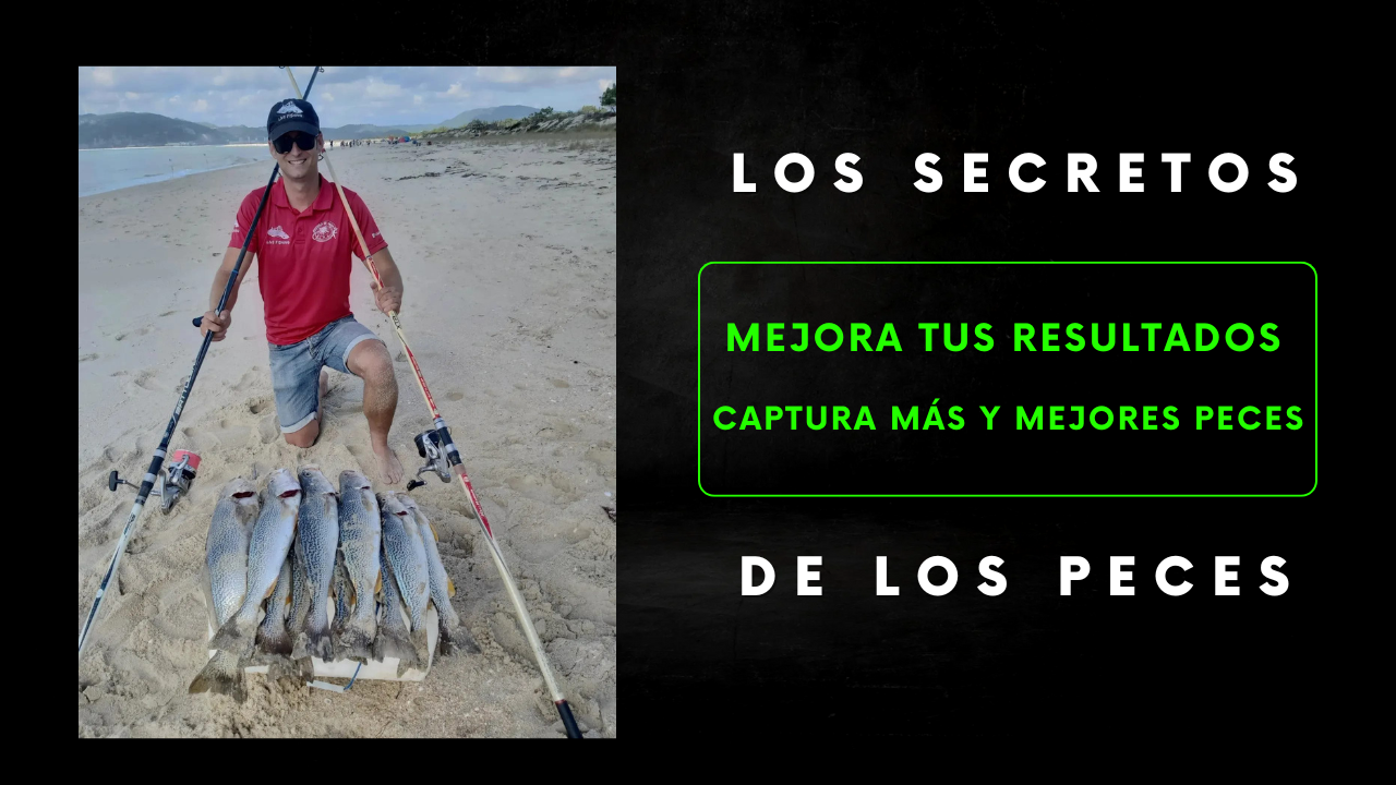 Ebook Los Secretos de los Peces