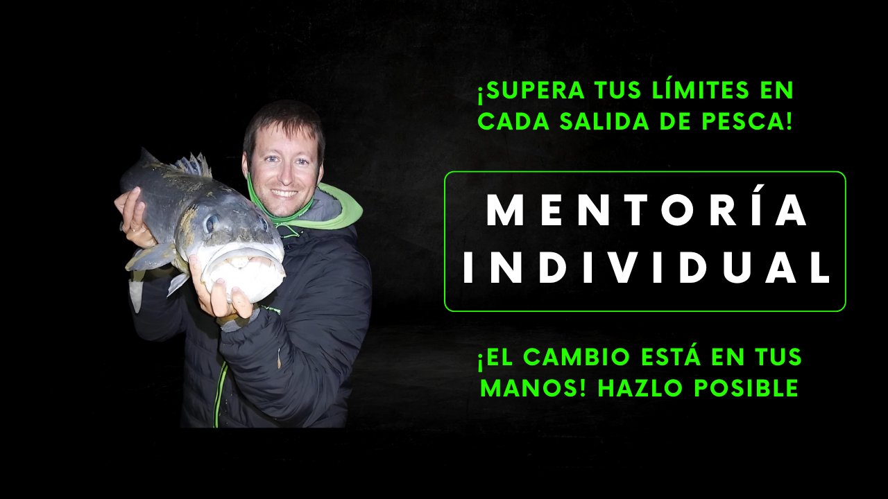 Mentoría Personalizada + Seguimiento Personalizado