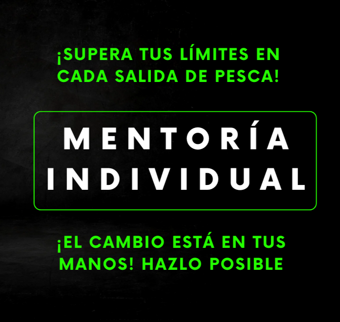 Mentoría Personalizada + Seguimiento Personalizado