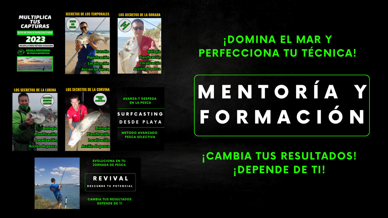 Mentoría Personalizada + Toda la Formación