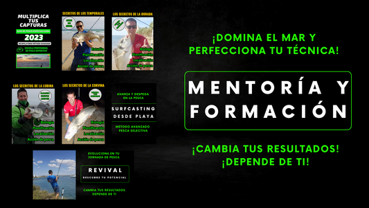Mentoría Personalizada + Toda la Formación
