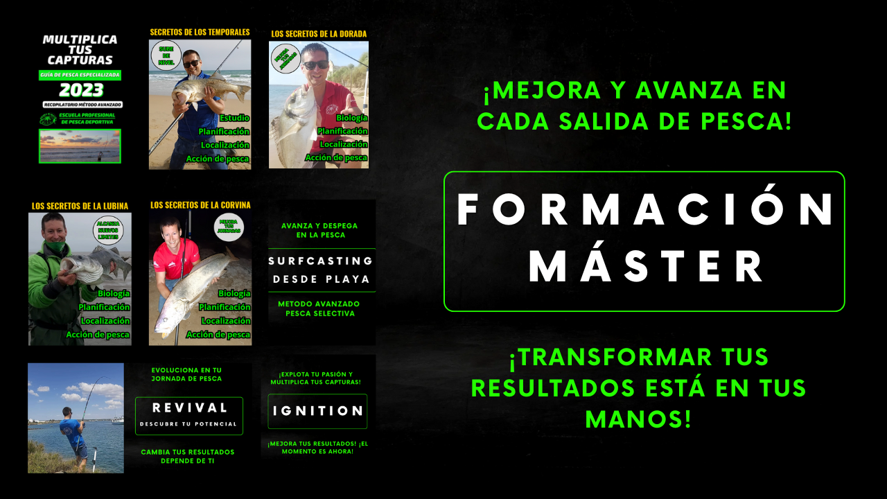 Formación Máster