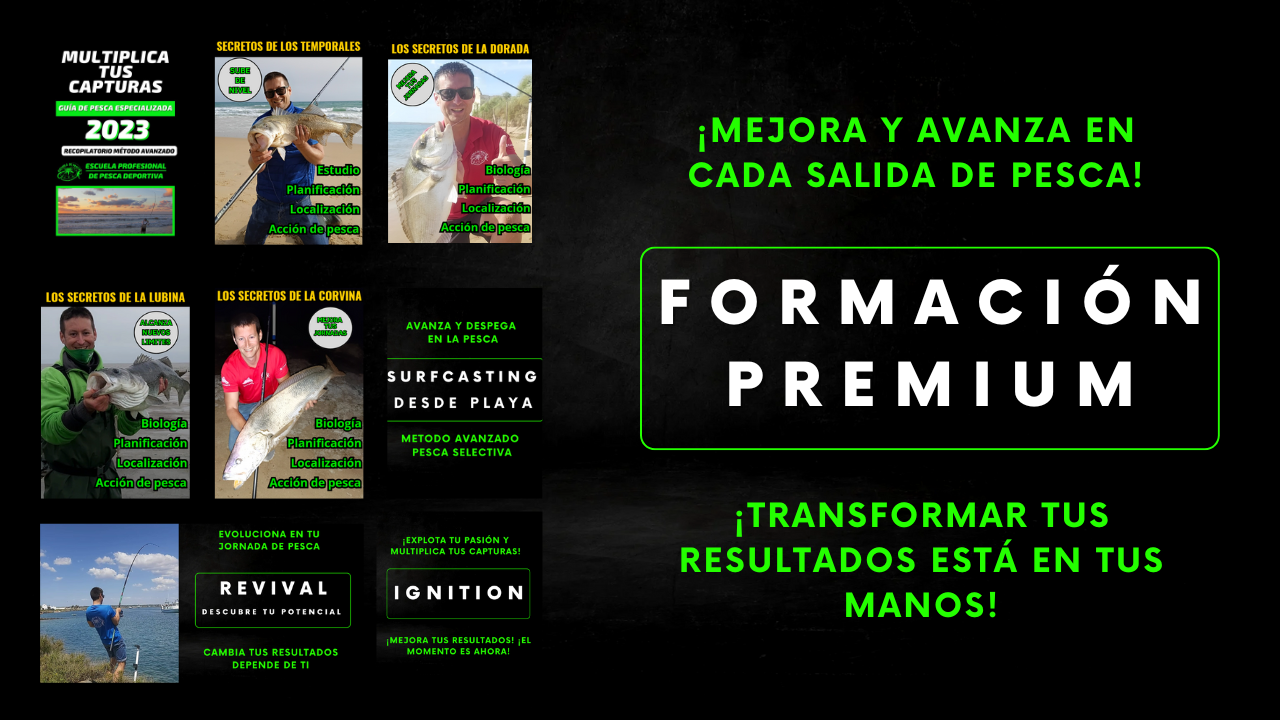 Formación Premium