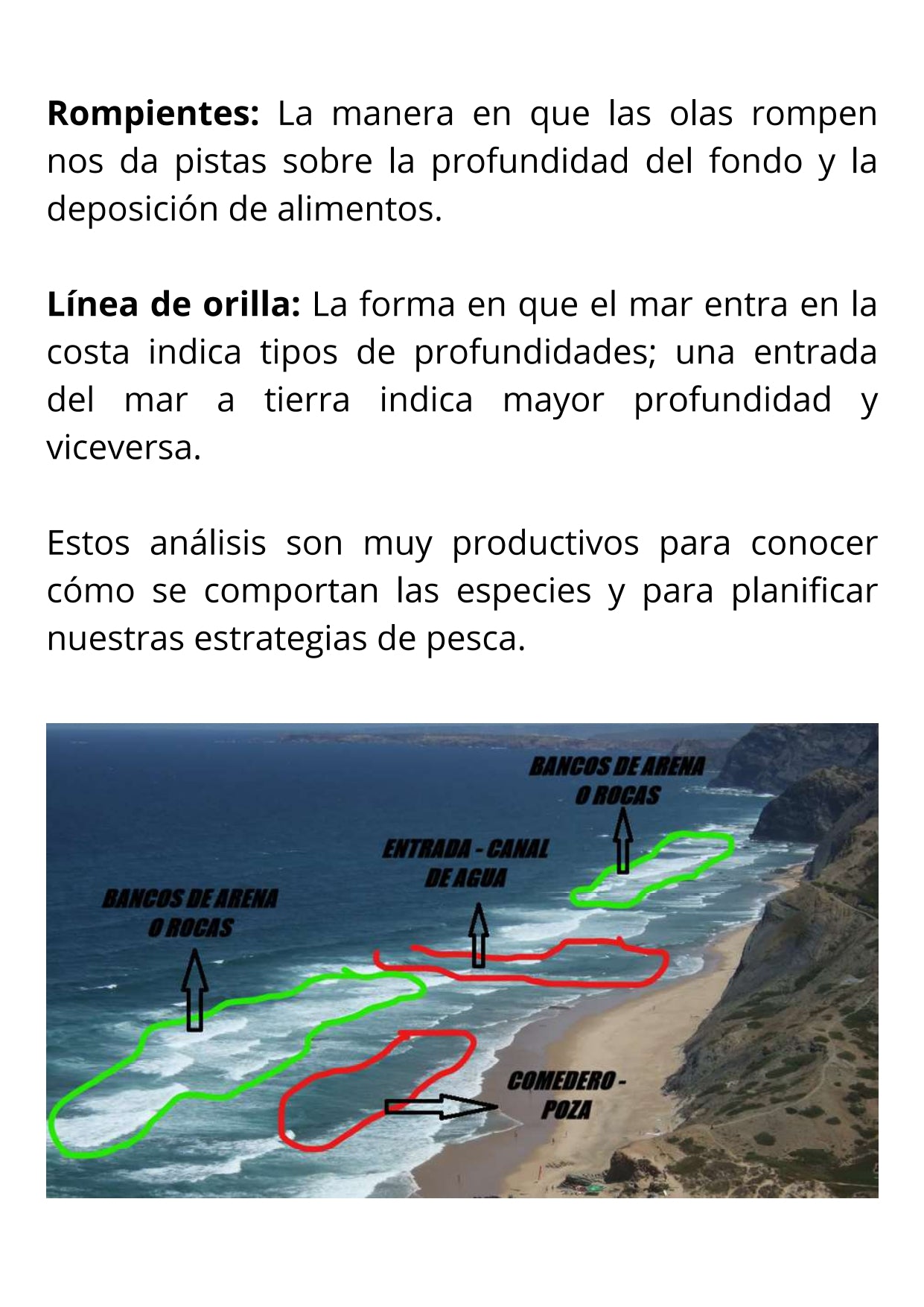 Libro Físico de Pesca de la Dorada