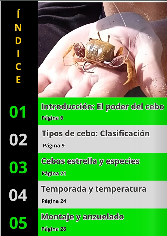 Ebook Los Secretos de los Cebos