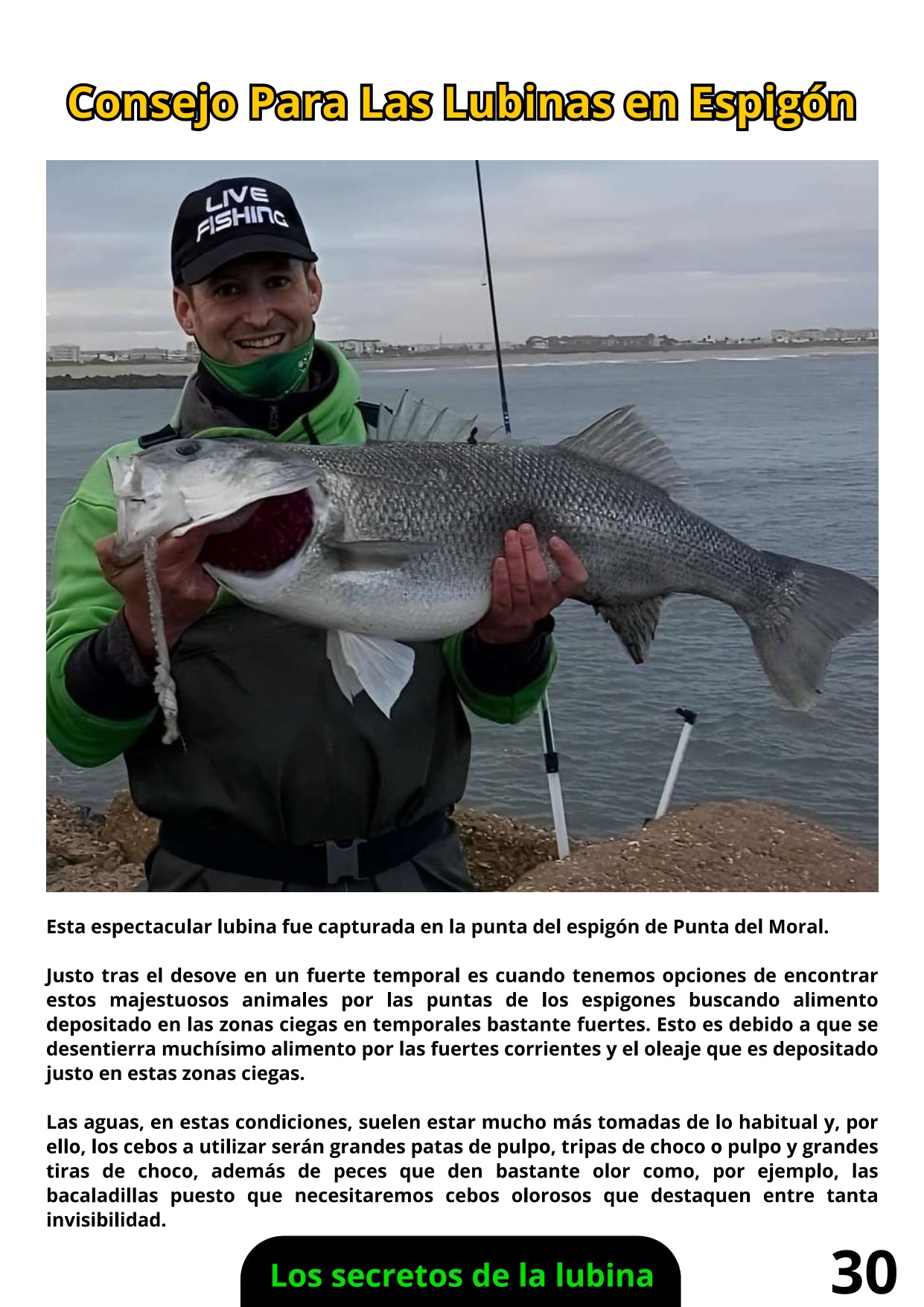 Libro Físico de Pesca de la Lubina
