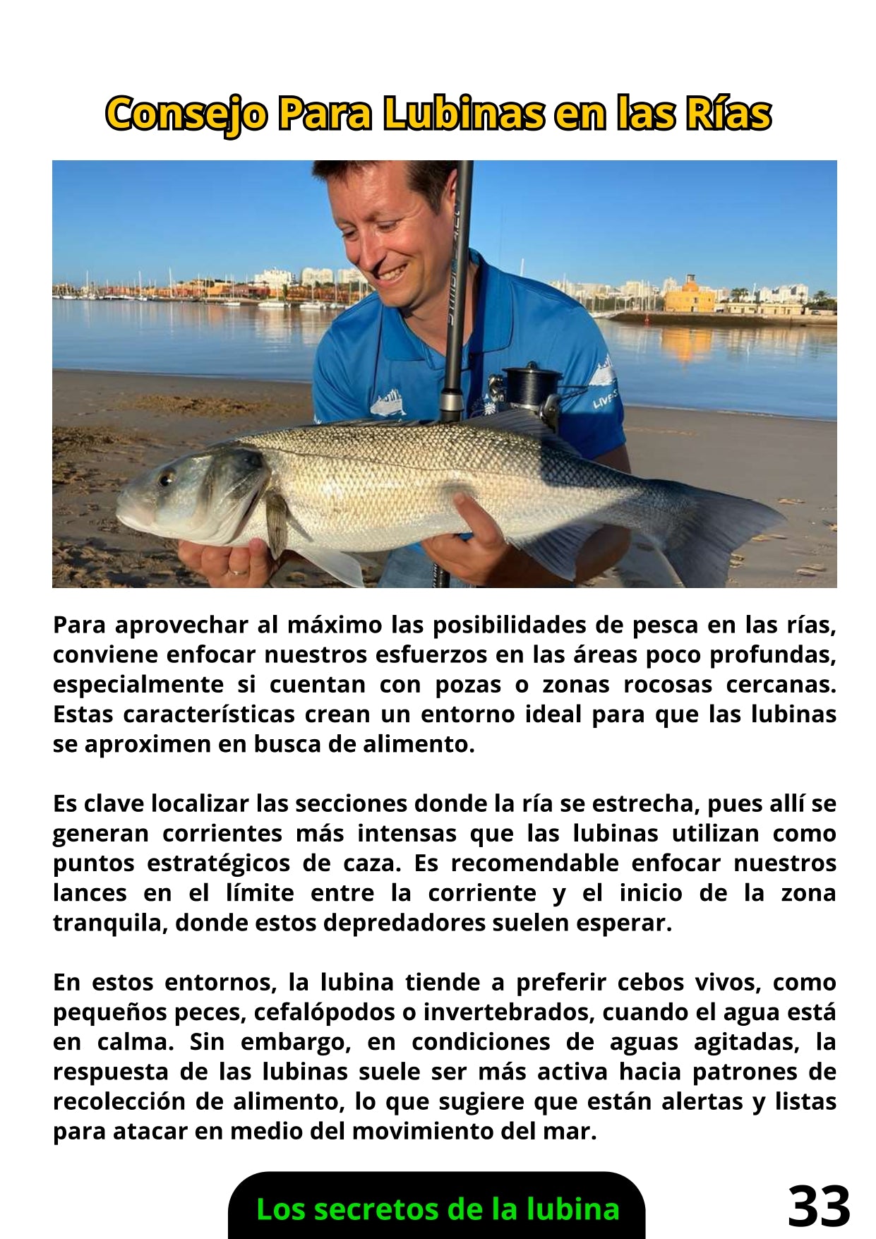 Libro Físico de Pesca de la Lubina
