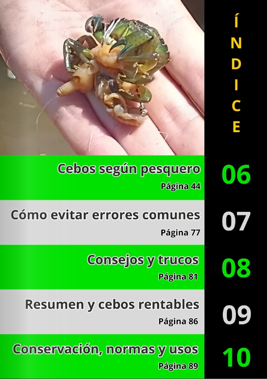 Libro Físico de Pesca Los Secretos de los Cebos