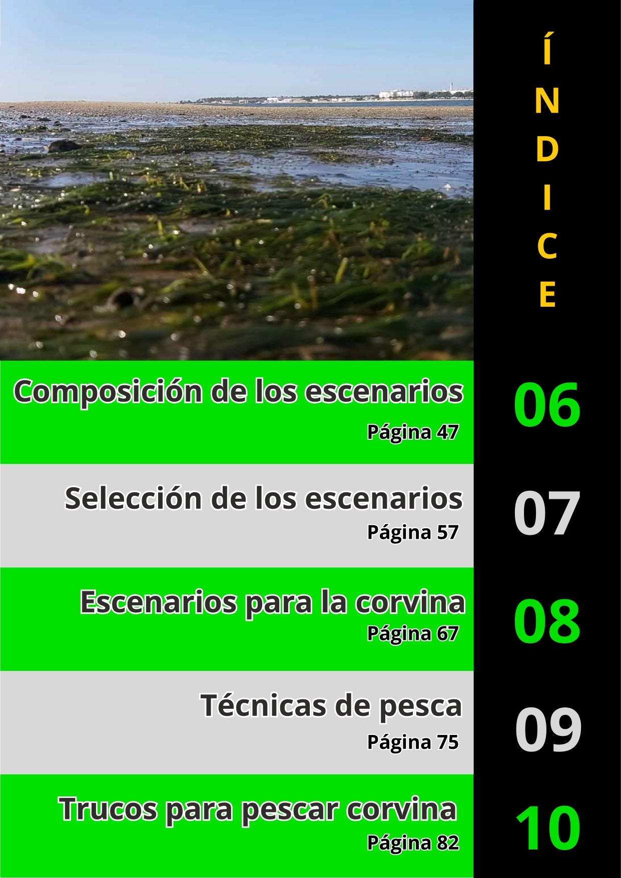 Libro Físico Pesca de la Corvina