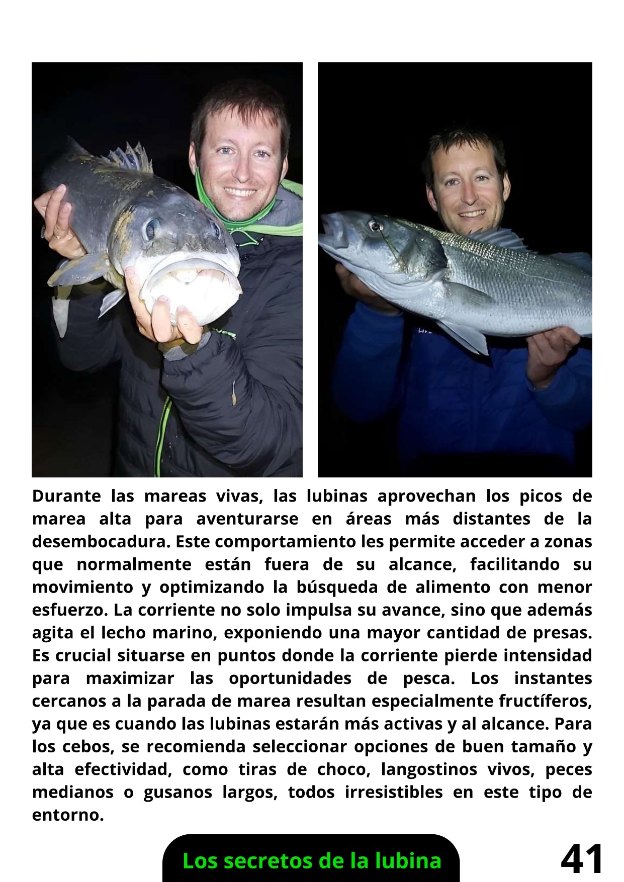 Libro Físico de Pesca de la Lubina