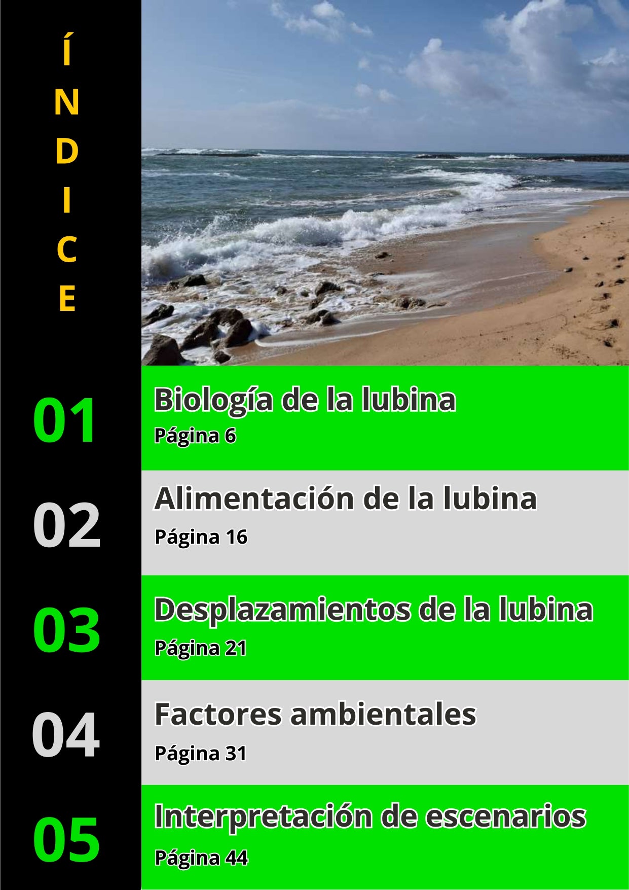 Libro Físico Pesca Selectiva