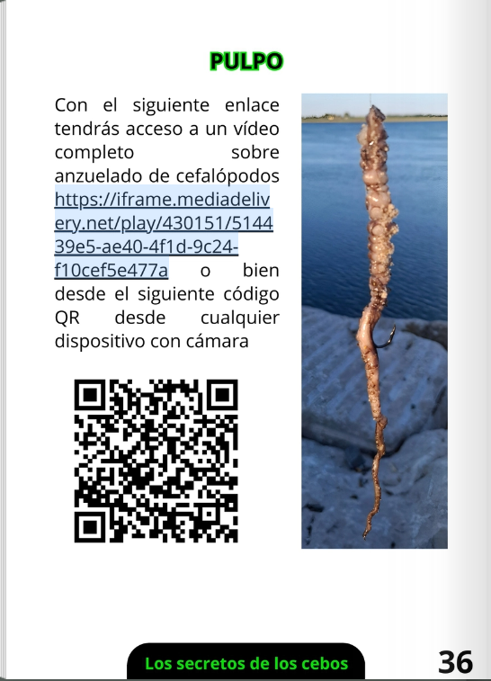 Libro Físico de Pesca Los Secretos de los Cebos
