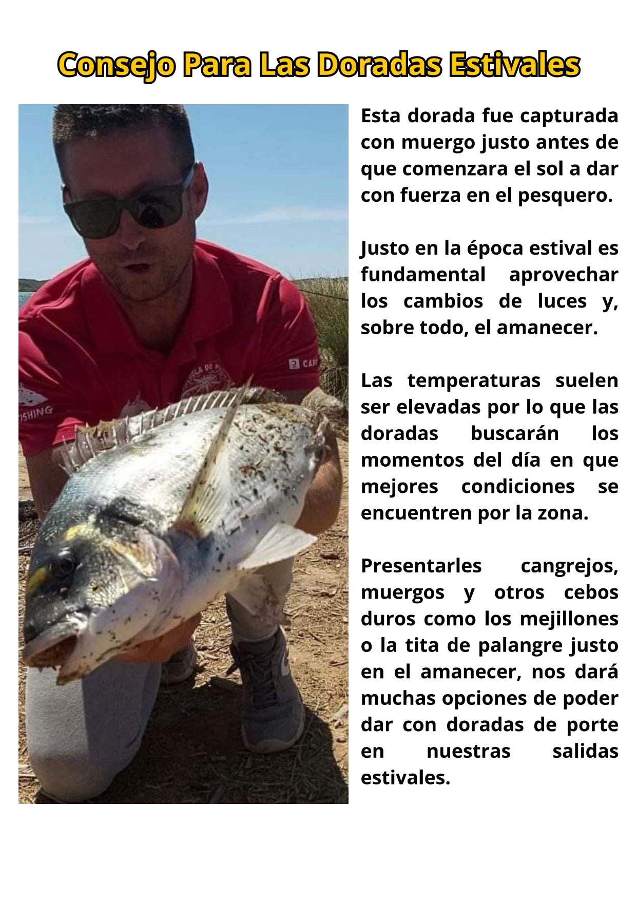 Libro Físico de Pesca de la Dorada