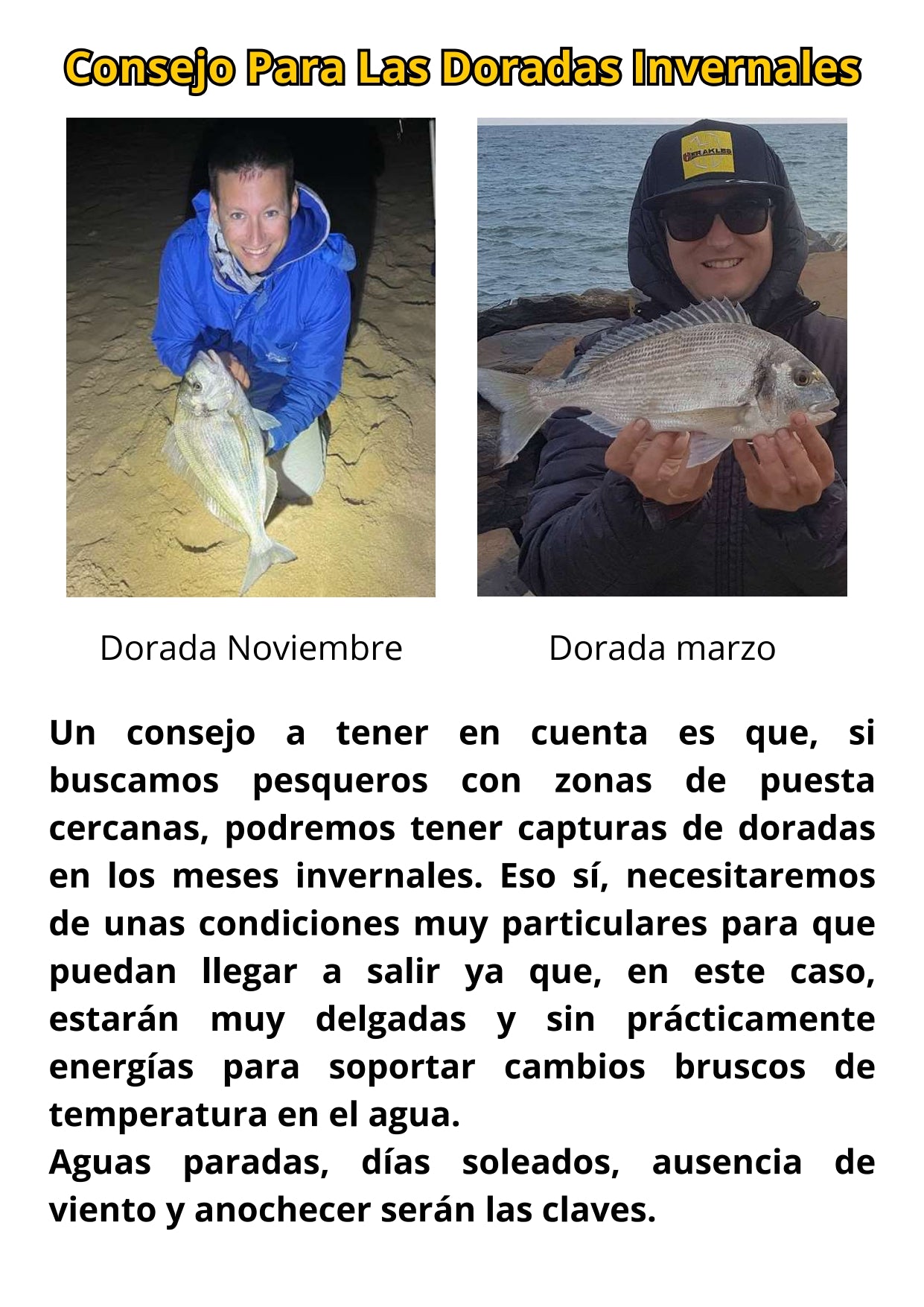 Libro Físico de Pesca de la Dorada