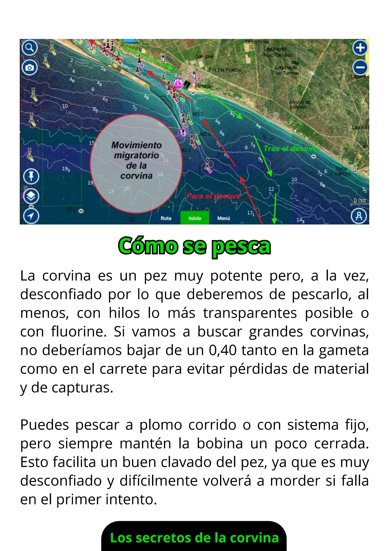 Libro Físico Pesca de la Corvina