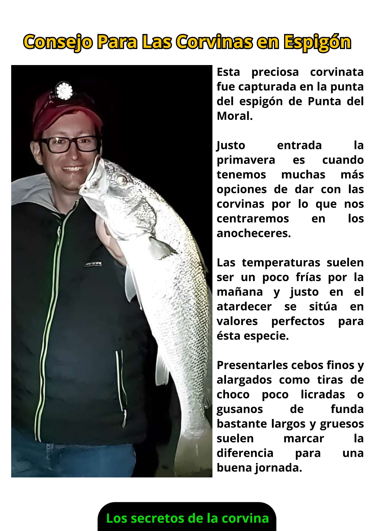 Libro Físico Pesca de la Corvina