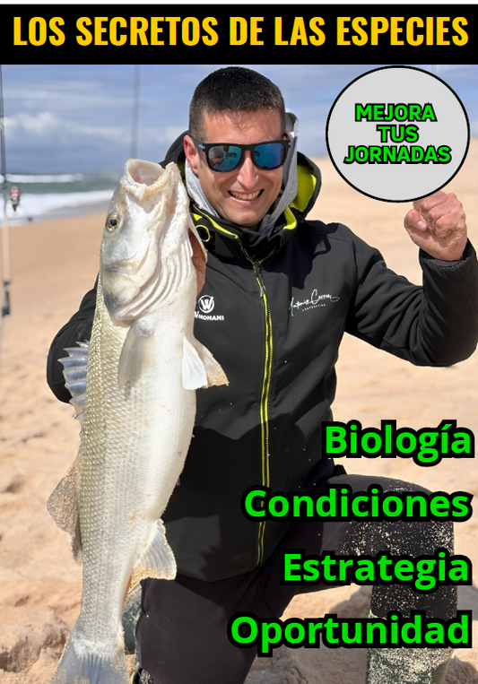 Ebook Los Secretos de los Peces