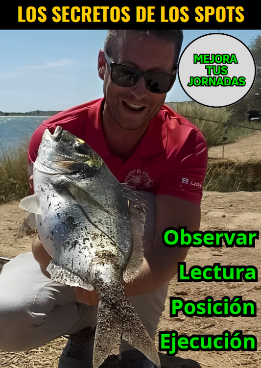 Ebook Los Secretos de los Spots