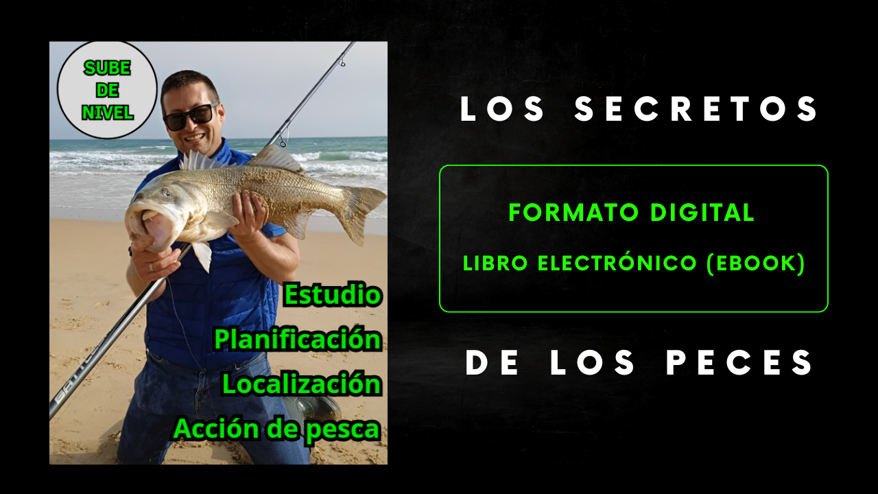 Libros Digitales