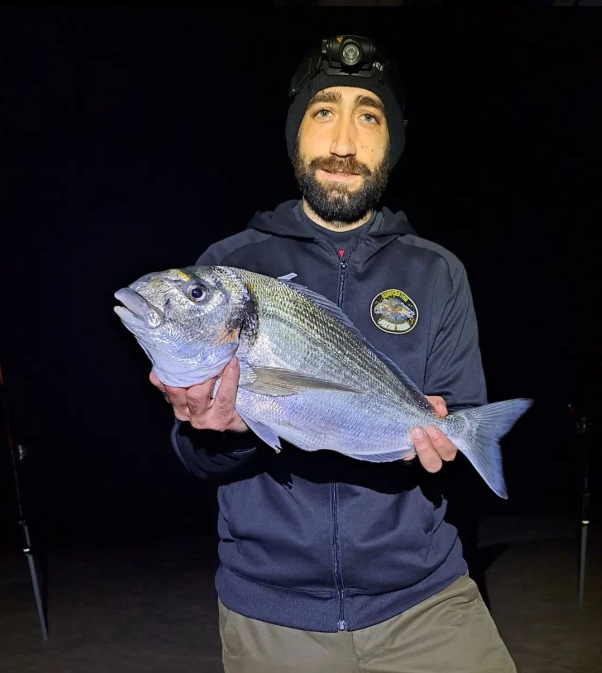 Metamorphosis Edición Doradas a Surfcasting