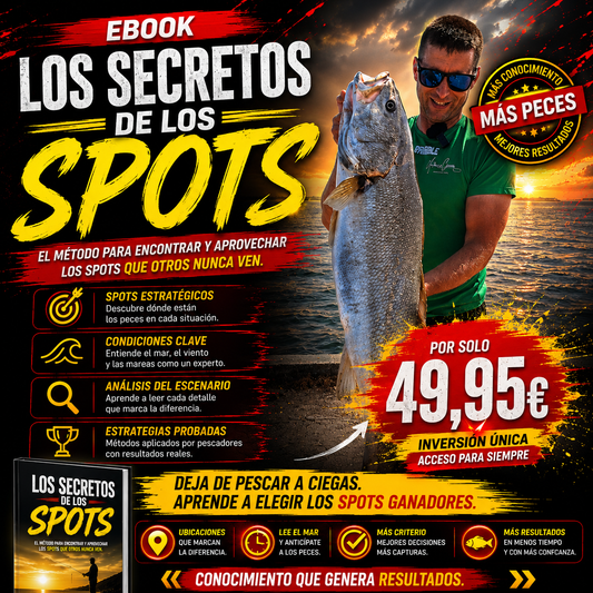 Ebook Los Secretos de los Spots