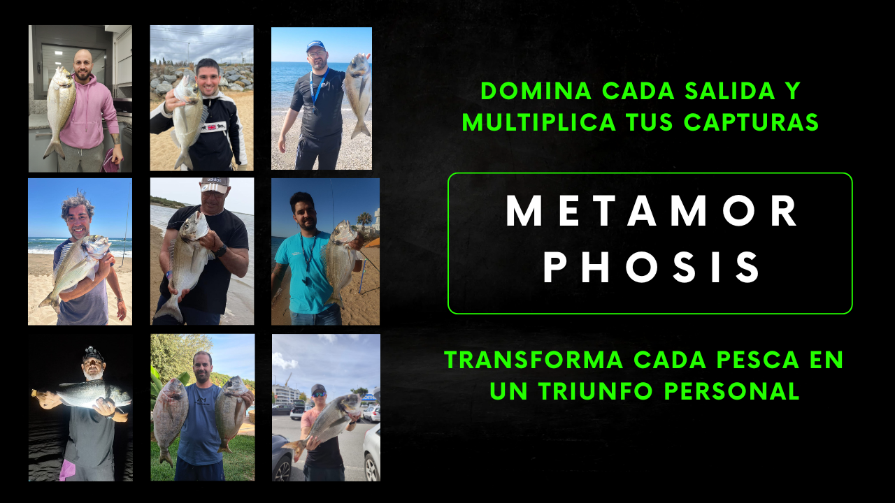 Metamorphosis Edición Doradas a Surfcasting