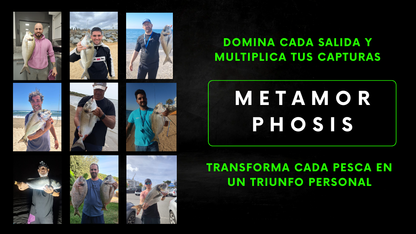 Metamorphosis Edición Doradas a Surfcasting