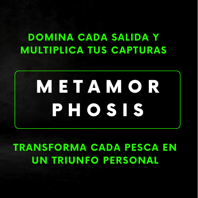 Metamorphosis 1ª Edición