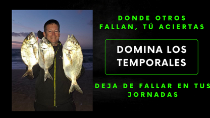 Domina Los Temporales