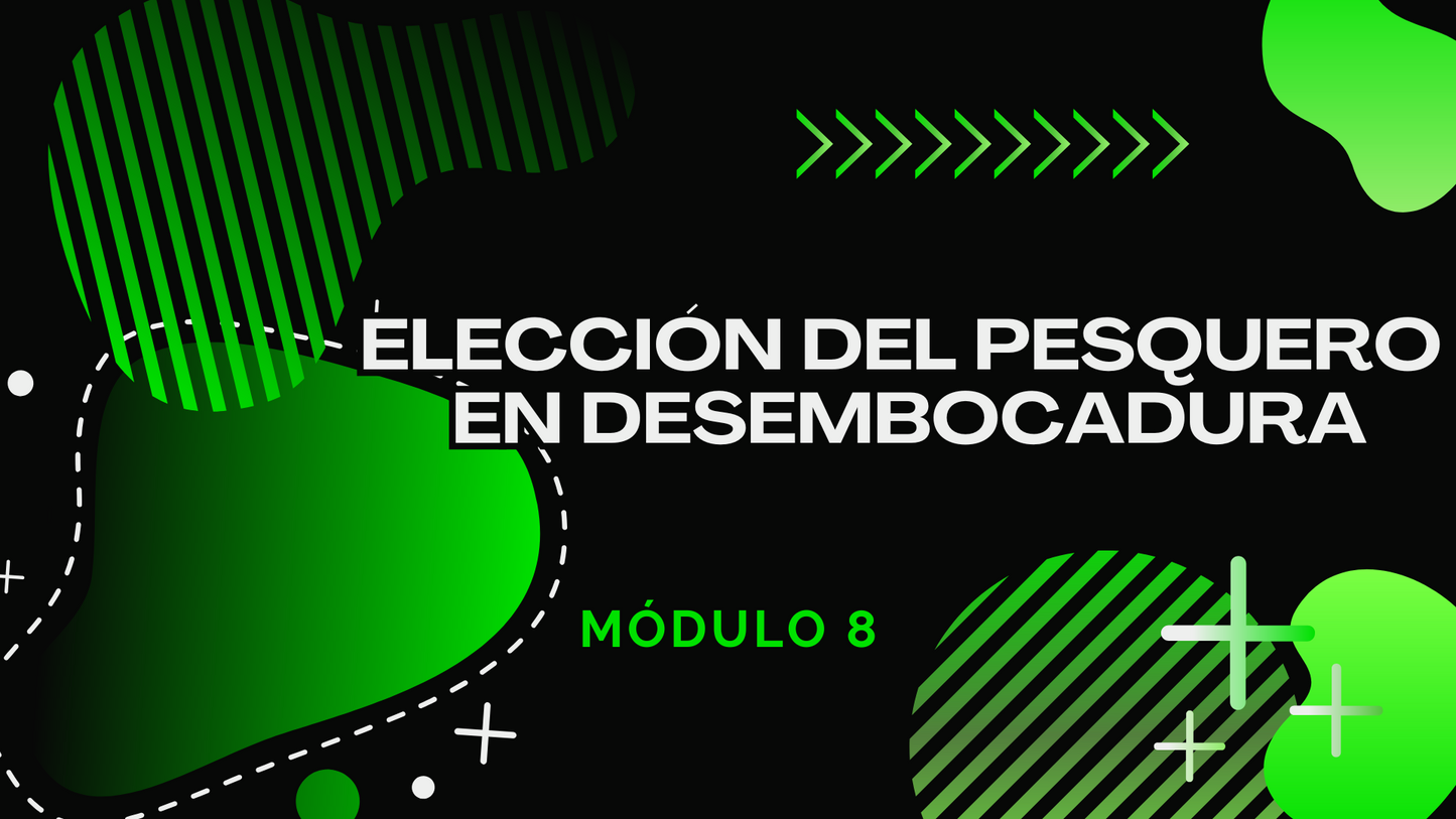 Objetivo Bolo Zero