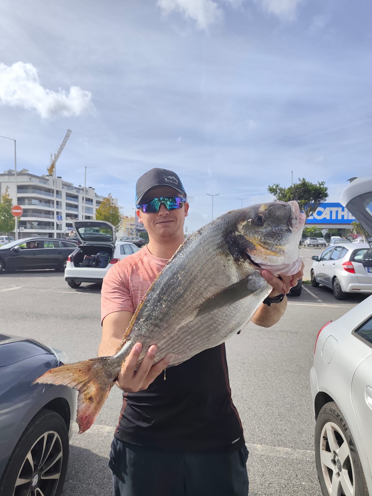 Metamorphosis Edición Doradas a Surfcasting