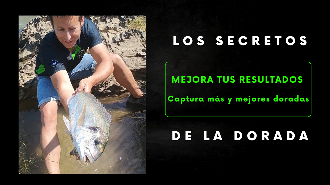 Ebook de Pesca de la Dorada