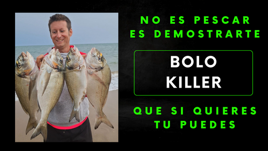 Bolo Killer