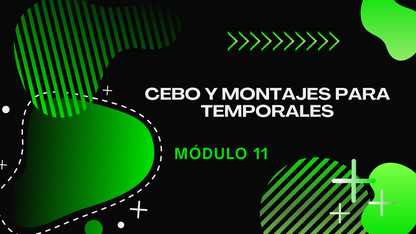 Domina Los Temporales