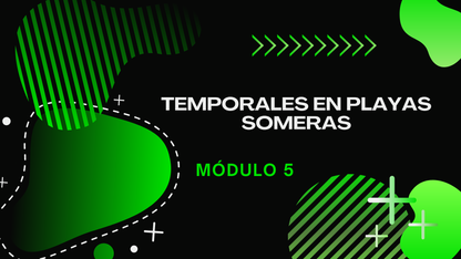 Domina Los Temporales