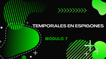 Domina Los Temporales