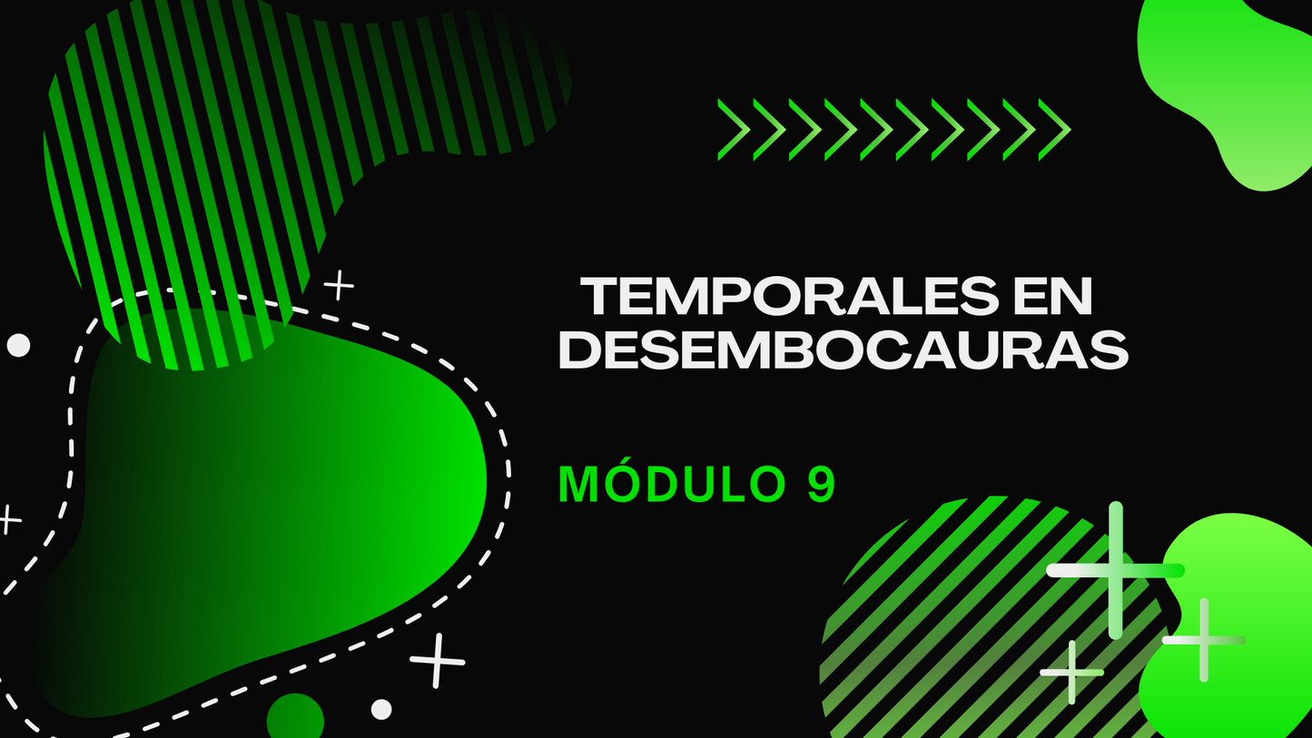 Domina Los Temporales