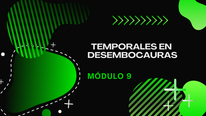 Domina Los Temporales