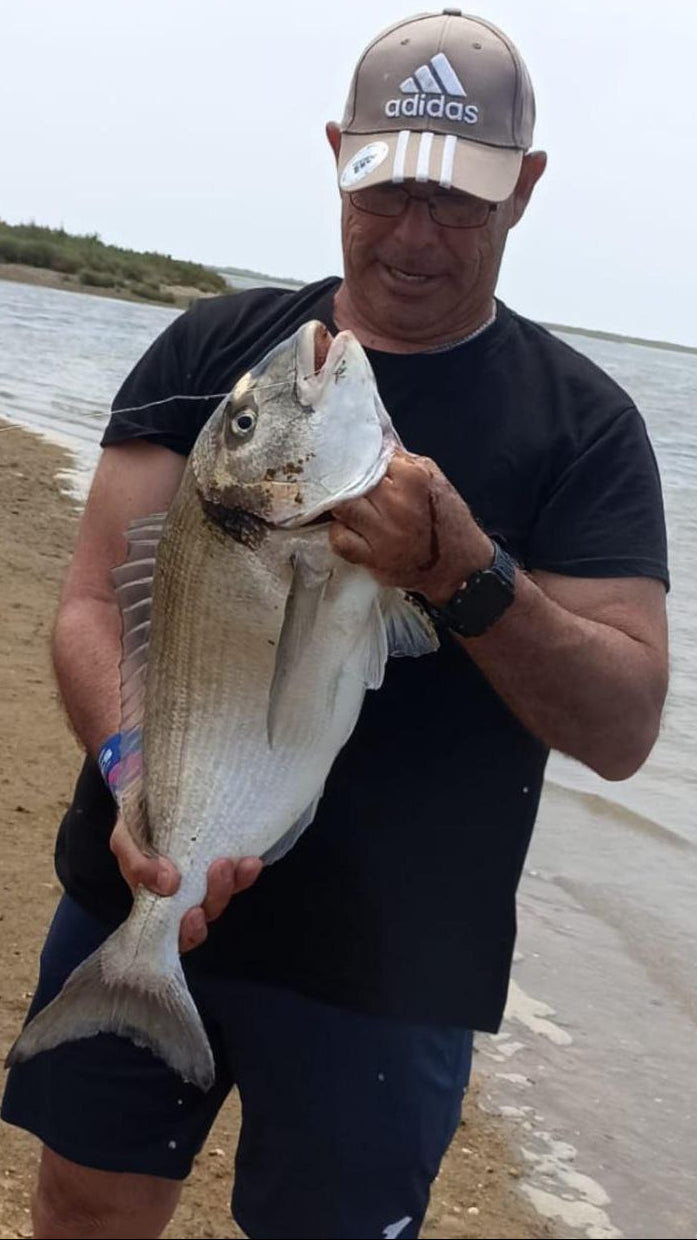 Metamorphosis Edición Doradas a Surfcasting