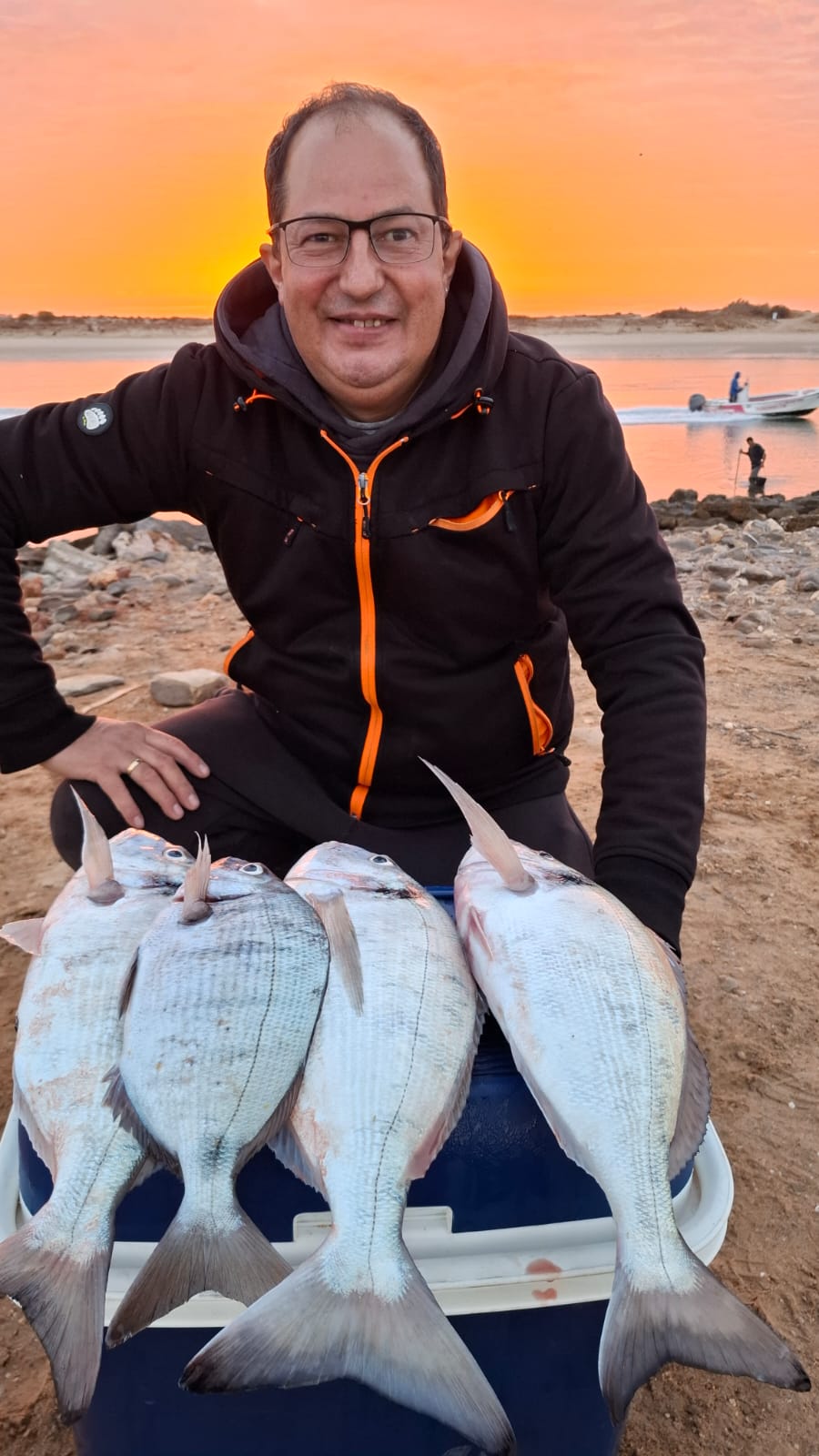 Metamorphosis 1ª Edición