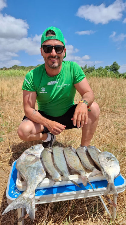 Metamorphosis 1ª Edición