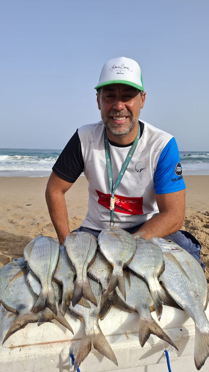 Metamorphosis 1ª Edición