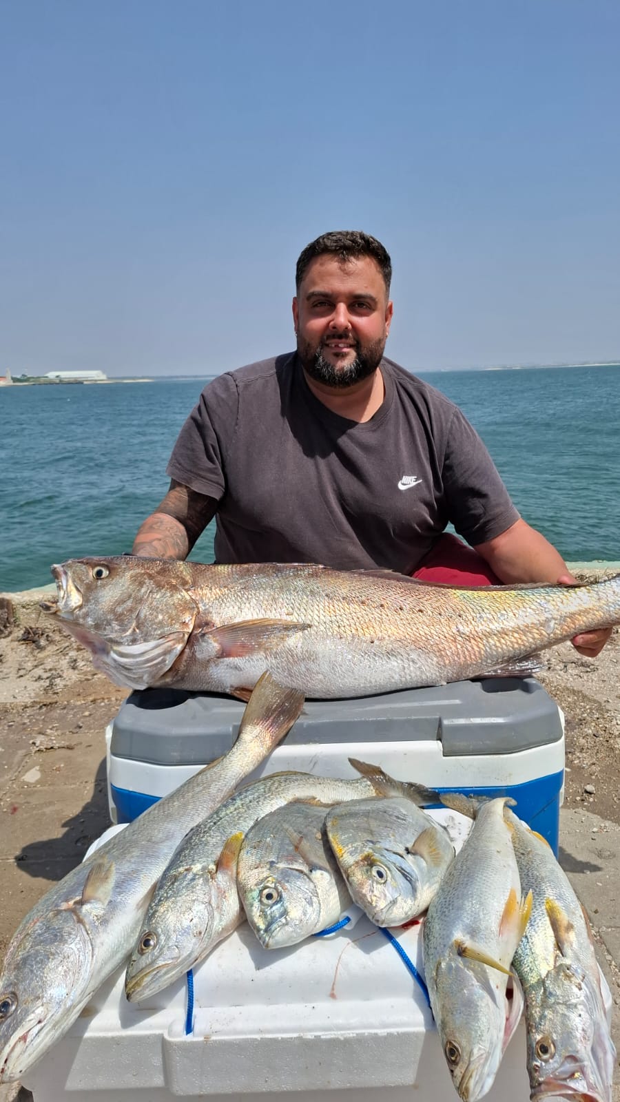 Metamorphosis 1ª Edición