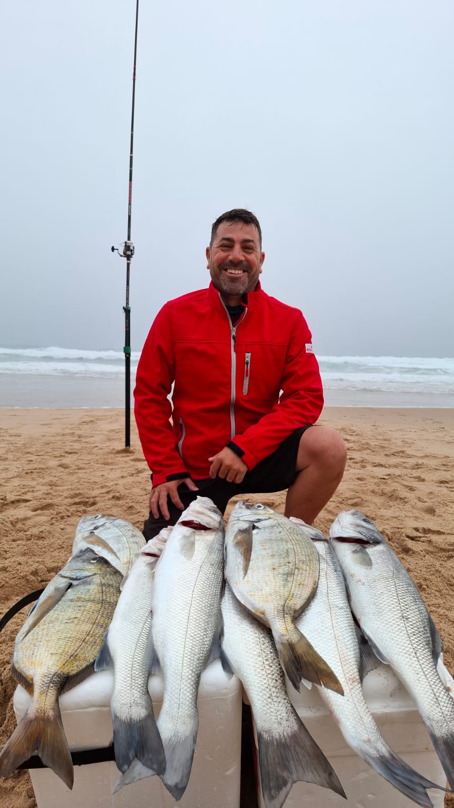 Metamorphosis 1ª Edición