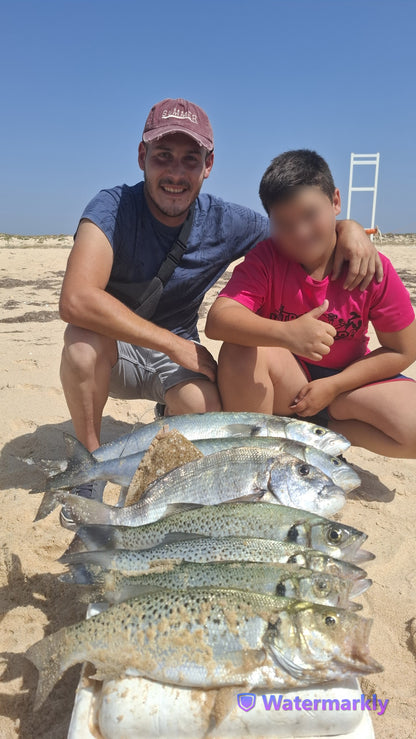 Metamorphosis 1ª Edición